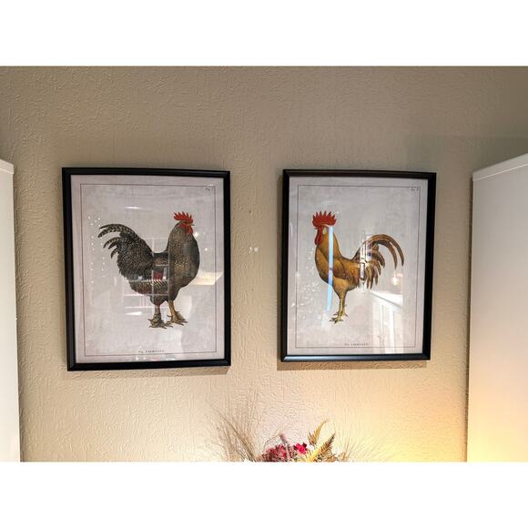 IKEA BILD 16" x 20" Posters Farmyard Roosters (2) - Picture 3 of 3